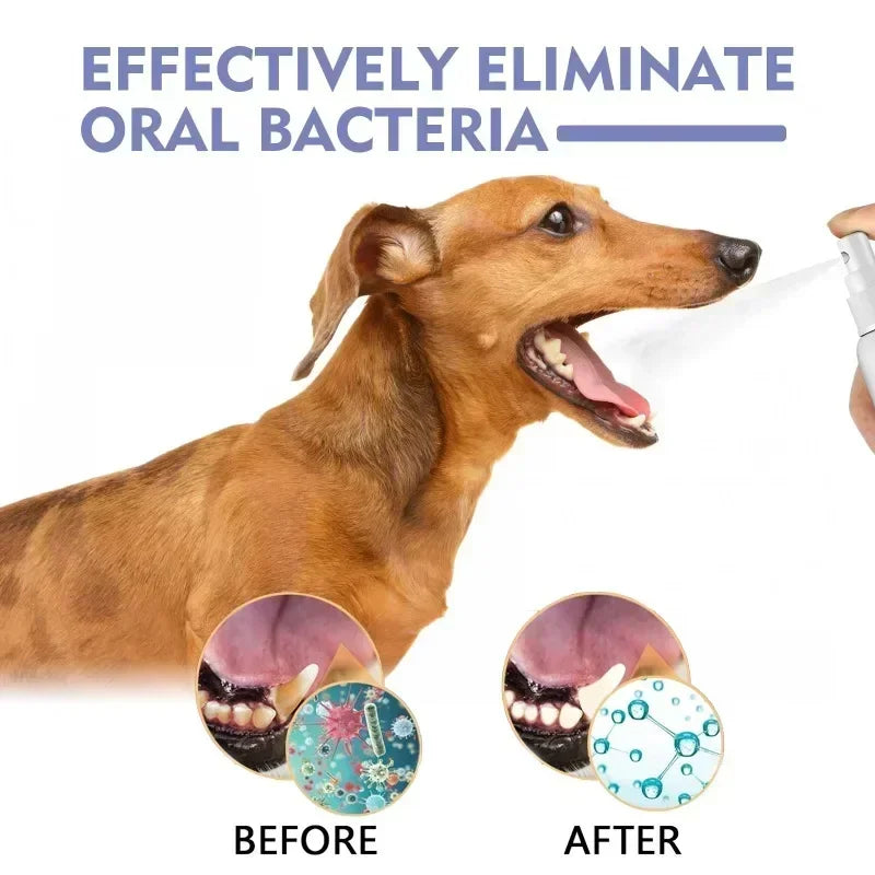 Pet Oral Care Spray – Fresh Breath & Stain Removal for Pets