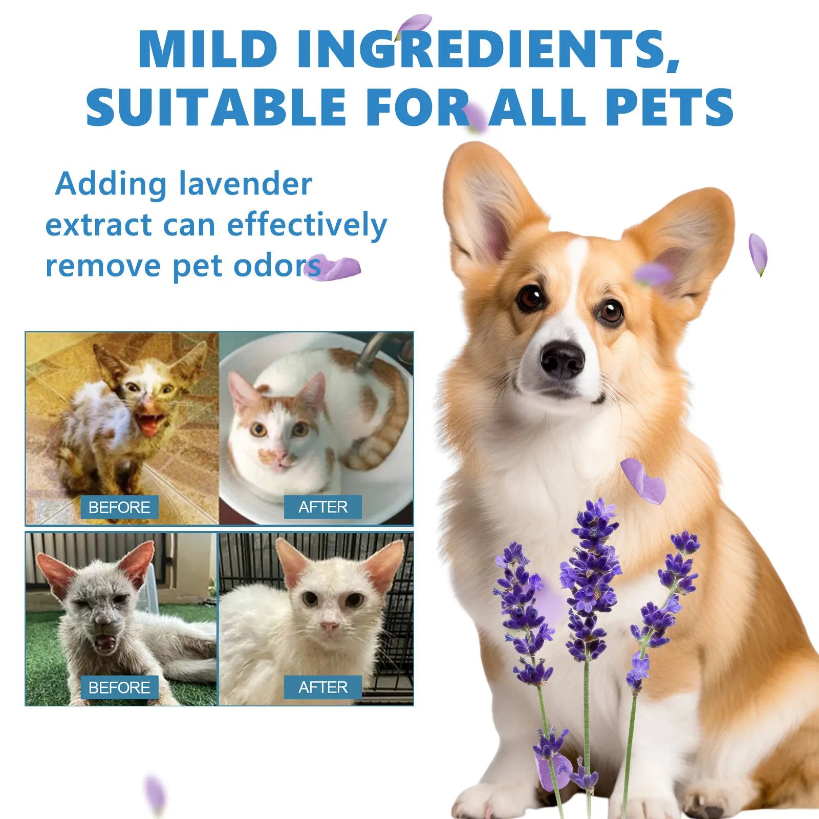 Waterless Pet Shampoo – Softening No-Rinse Coat Essence