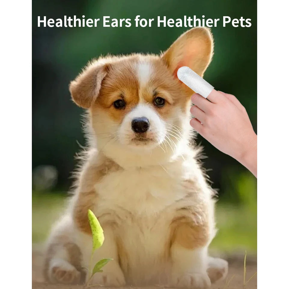 Cat & Dog Ear Wipes – Fingertip Cleaning Pads for Ear Care