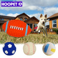 Squeaky Dog Balls – Tennis & Football Chew Toys