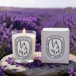 Romantic Transparent Scented Fragrance Candle Light Gift Scented Aromatic Candles Guest Gift Candles Wedding Candles Candle Jar