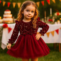 Girls Velvet & Mesh Bow Party Dress
